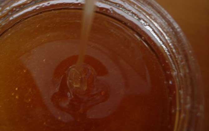 為什么真蜂蜜賣不過(guò)假蜂蜜? 蜂蜜