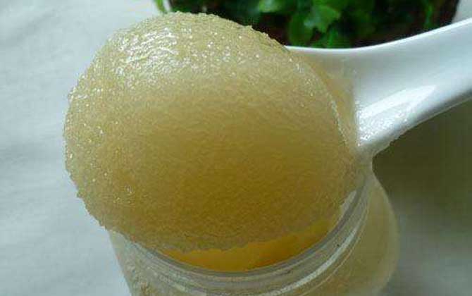 荊條蜜價(jià)格多少錢(qián)一斤? 荊條蜜