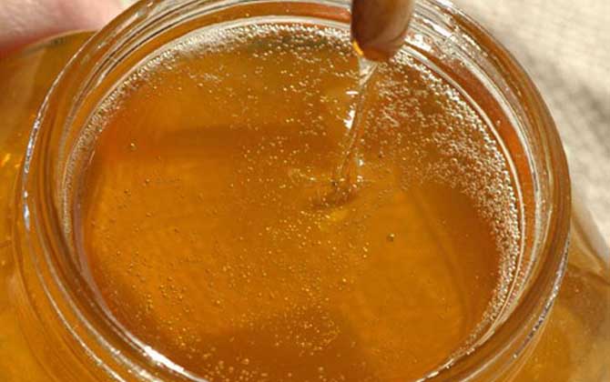 荔枝蜜價格多少錢一斤? 荔枝蜜