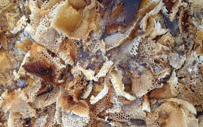 百花蜜價(jià)格多少錢一斤? 百花蜜