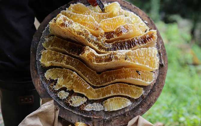 百花蜜價(jià)格多少錢一斤? 百花蜜