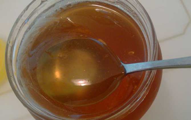 桉樹蜜價格多少錢一斤? 桉樹蜜