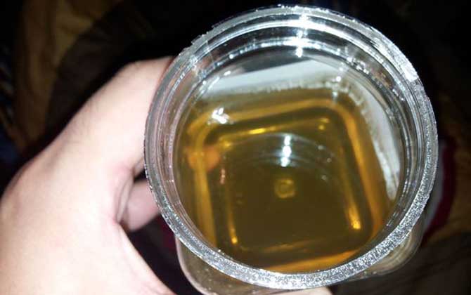 喝蜂蜜真的能美容減肥嗎? 蜂蜜