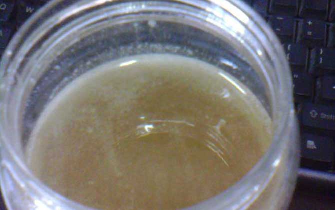 每天用蜂蜜涂臉的人會怎樣? 蜂蜜涂臉