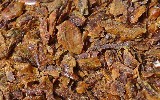 蜂膠可以長(zhǎng)期服用嗎? 蜂膠