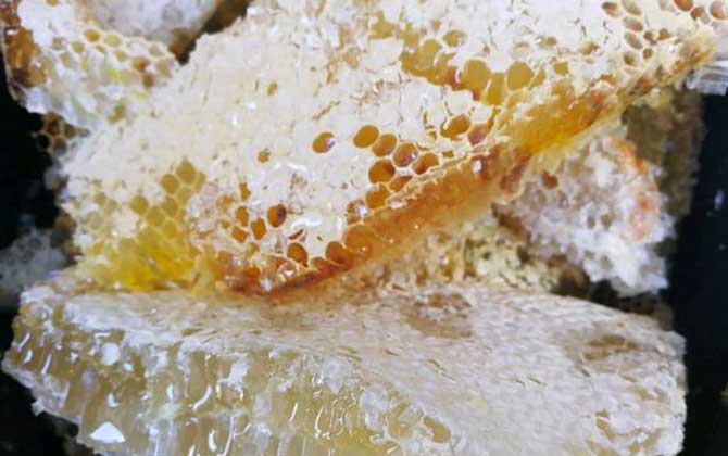 蜂巢和巢蜜的區(qū)別 蜂巢
