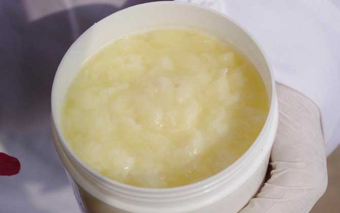 新鮮蜂王漿怎么吃最好? 蜂王漿