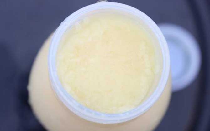 蜂王漿能提高性功能嗎? 蜂王漿