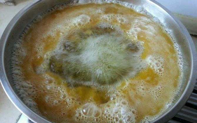 蜂蠟提純最簡(jiǎn)單的方法 蜂蠟