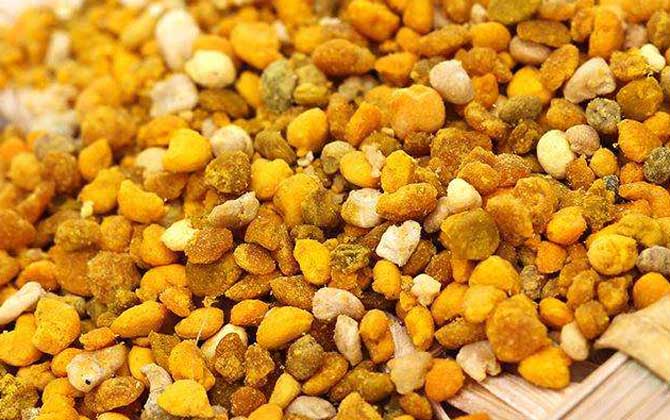 最新蜂花粉價(jià)格多少錢一斤? 蜂花粉