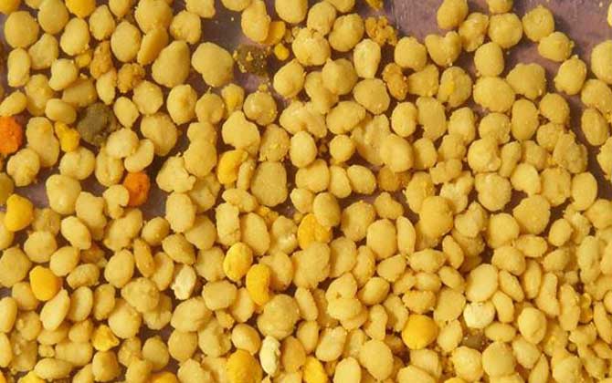 最新蜂花粉價(jià)格多少錢一斤? 蜂花粉