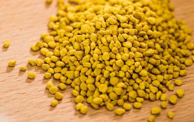 玉米花粉的功效與作用及食用方法 玉米花粉