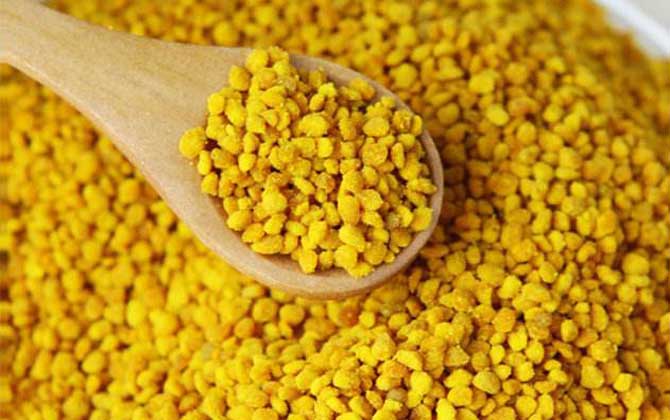 蜂花粉的禁忌及正確吃法 蜂花粉