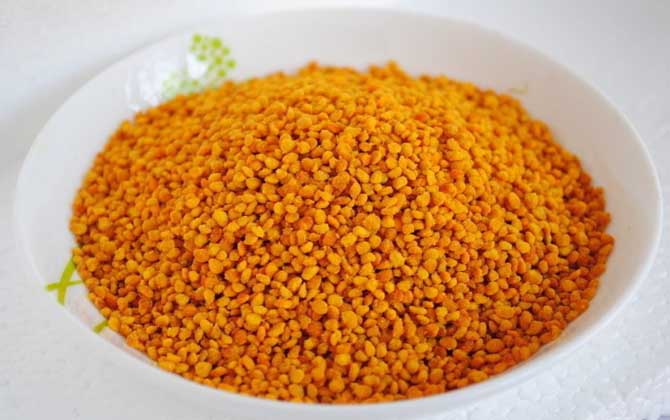 茶花粉和菜花粉哪個好? 茶花粉