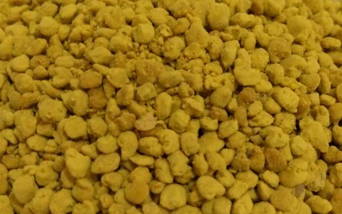 茶花粉和菜花粉哪個好? 菜花粉