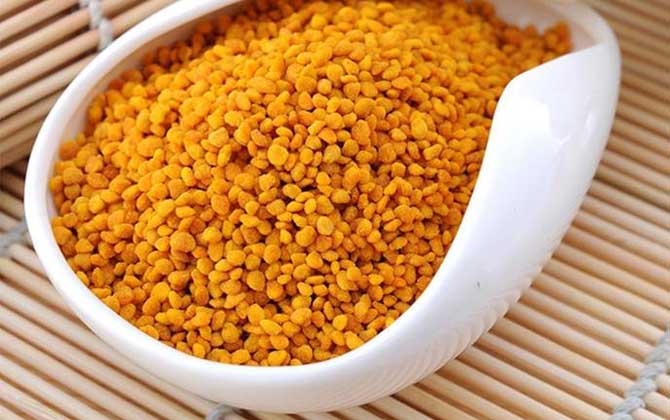 最新茶花粉價格多少錢一斤? 茶花粉