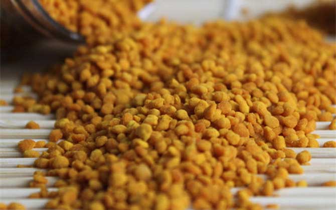 最新茶花粉價格多少錢一斤? 茶花粉