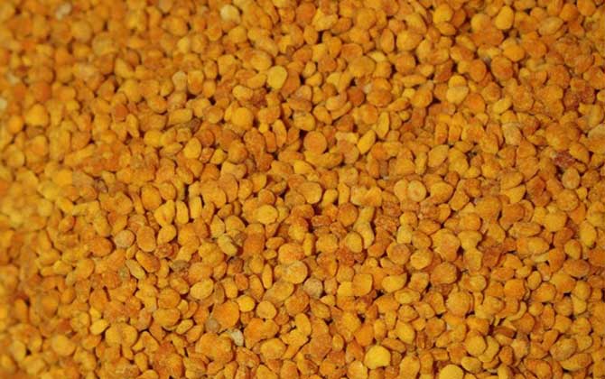 茶花粉適合什么人吃? 茶花粉