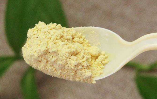 吃松花粉多久才有反應? 松花粉