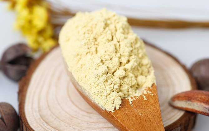 松花粉的作用與功效及禁忌人群 松花粉