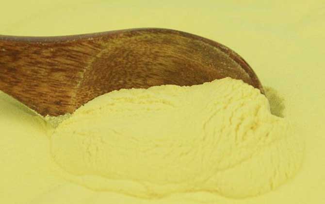 松花粉的作用與功效及禁忌人群 松花粉