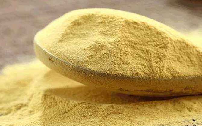 松花粉的作用與功效及禁忌人群 松花粉