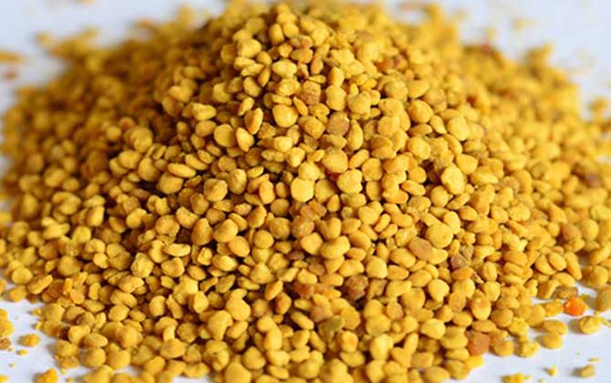 花粉的功效與作用及禁忌人群 花粉