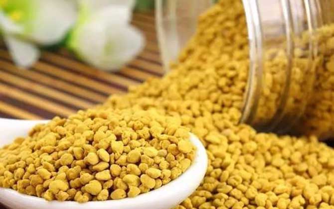 油菜花粉的功效與作用及禁忌人群 油菜花粉