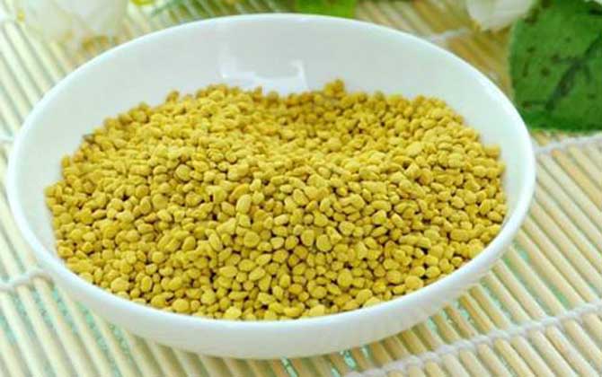 油菜花粉的功效與作用及禁忌人群 油菜花粉