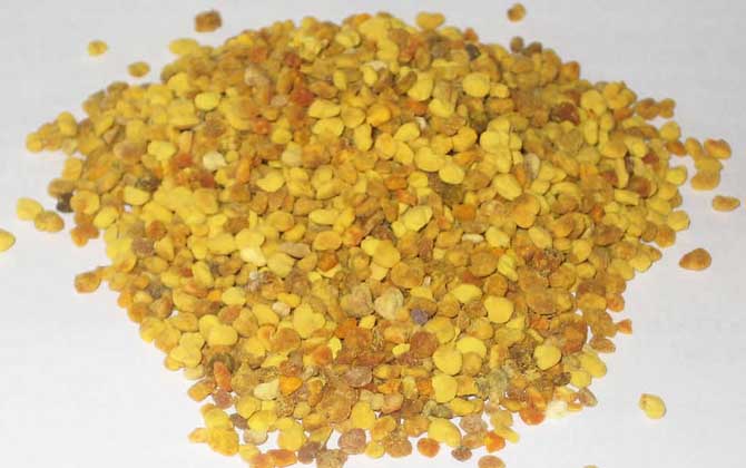 蜂花粉的功效與作用及禁忌人群 蜂花粉