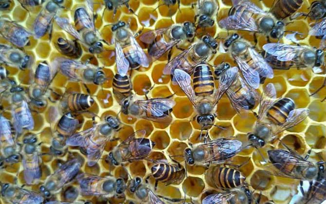 怎么判斷介王是否成功? 介王