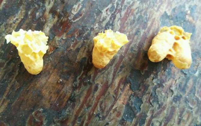 急造王臺一般幾天封蓋? 急造王臺