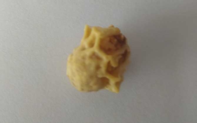 介入王臺的最佳時間 王臺