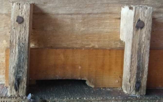 蜂箱最簡單的制作方法 蜂箱