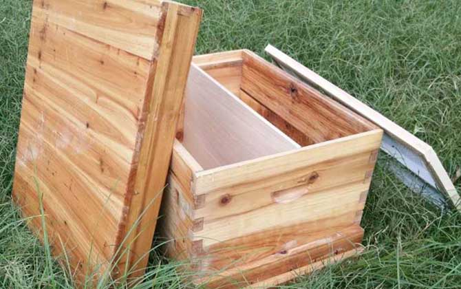 30元一個蜂箱是真的嗎? 蜂箱