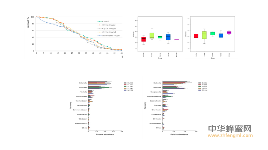 農科院蜜蜂研究所2016年在蜜蜂病蟲害方面取得重要科研成果 蜜蜂 農科院 蜜蜂所 病蟲害 蜂群