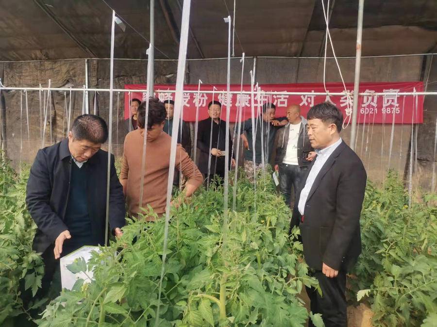 助力鄉(xiāng)村振興，山東省蜂業(yè)協(xié)會在曹縣舉辦熊蜂授粉推廣現(xiàn)場會