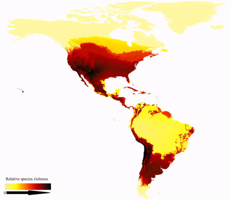 第一張蜜蜂分布世界地圖公布，填補了知識空白，也讓科學(xué)家吃驚了