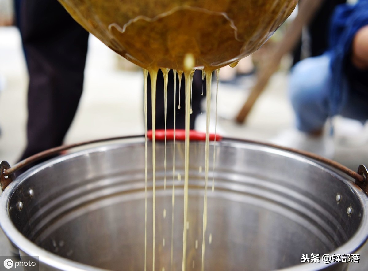 蜜蜂養(yǎng)殖，養(yǎng)殖場蜜蜂多，如何取蜜好？老蜂農(nóng)：3個配合取蜜更好