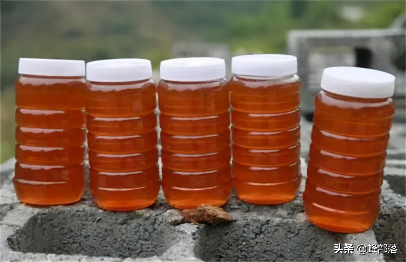 意大利引進國內(nèi)的蜜蜂，嚴重危害中華蜜蜂，為啥我國還要大量養(yǎng)殖？