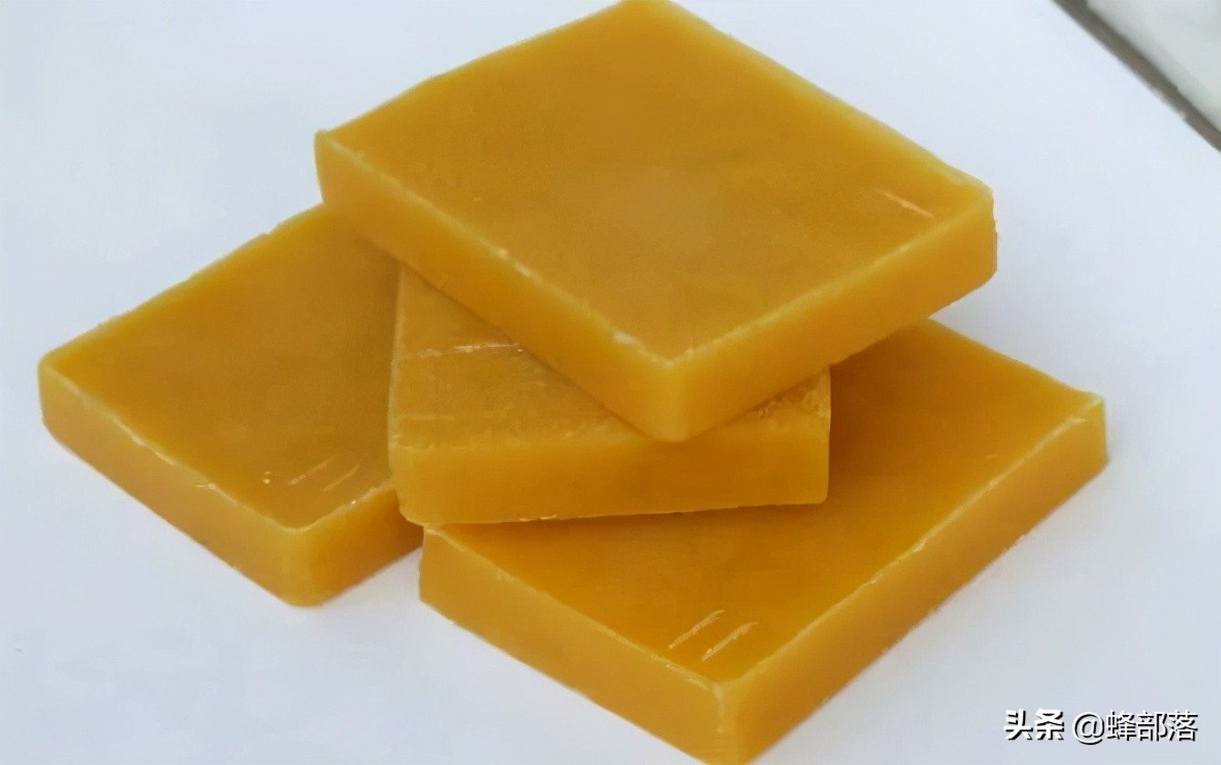 意大利引進國內(nèi)的蜜蜂，嚴重危害中華蜜蜂，為啥我國還要大量養(yǎng)殖？