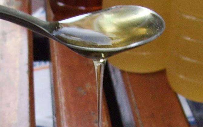 中國(guó)蜂蜜有什么種類(中國(guó)四大蜂蜜種類及排名) 中國(guó)蜂蜜有什么種類(中國(guó)四大蜂蜜種類及排名)