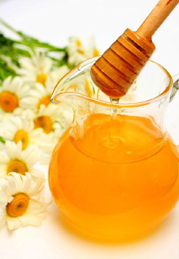 蜂王與工蜂嘴對(duì)嘴是什么意思(工蜂為什要觸碰和舔蜂王呢) 蜂王與工蜂嘴對(duì)嘴是什么意思(工蜂為什要觸碰和舔蜂王呢)