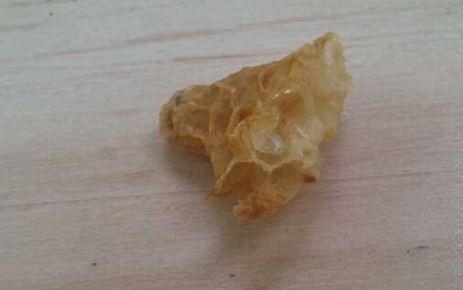 人造王臺蜂王會(huì)產(chǎn)卵嗎