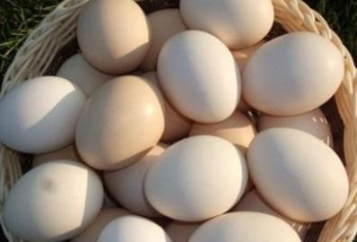 雞蛋蜂蜜可以同食嗎(雞蛋和蜂蜜同食的好處和壞處) 雞蛋蜂蜜可以同食嗎(雞蛋和蜂蜜同食的好處和壞處)