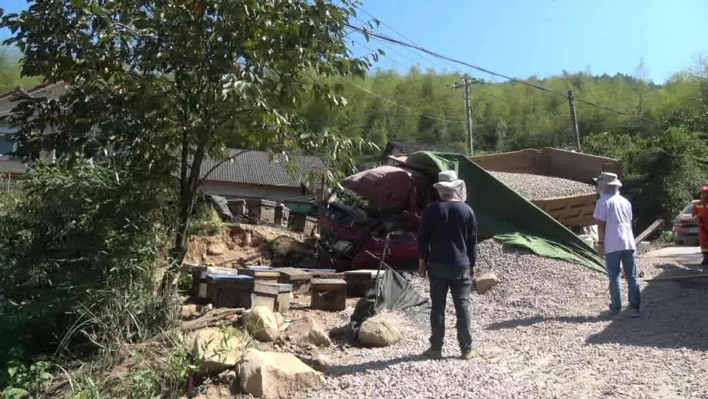 蜂場意蜂盜中蜂如何處理(中蜂被意蜂盜蜜的緊急處理) 蜂場意蜂盜中蜂如何處理(中蜂被意蜂盜蜜的緊急處理)