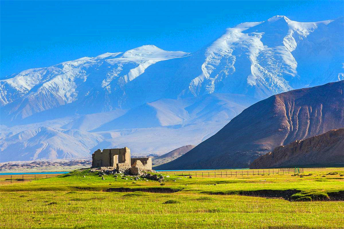 帕米爾高原的香鼬為何散發(fā)一種香氣? 新疆帕米爾高原發(fā)現(xiàn)香鼬,不足1斤,敢捕食比自己重100倍的盤羊