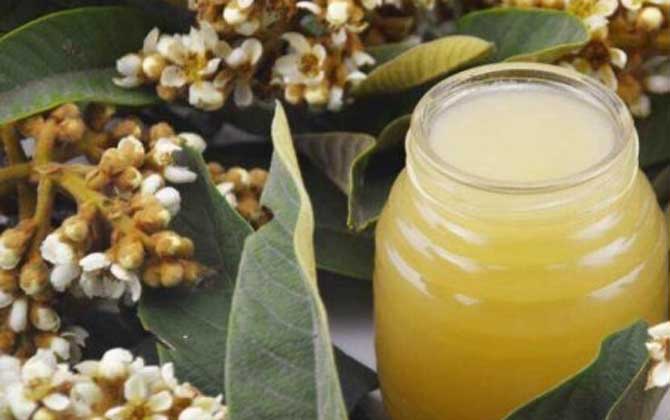 什么是枇杷蜜(枇杷蜜介紹) 什么是枇杷蜜(枇杷蜜介紹)