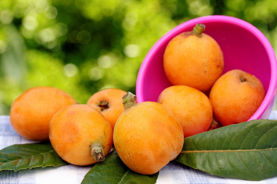 枇杷蜜低溫結晶嗎(枇杷蜜會不會結晶) 枇杷蜜低溫結晶嗎(枇杷蜜會不會結晶)