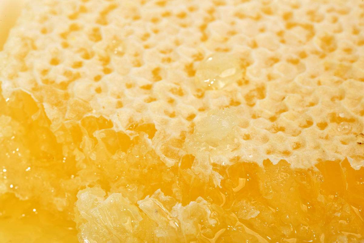 蜜蜂蠟能吃嗎? 蜜蜂蠟能吃嗎?